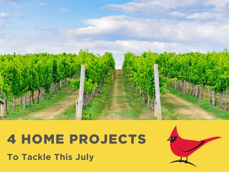 4 Home Projects to Tackle This July