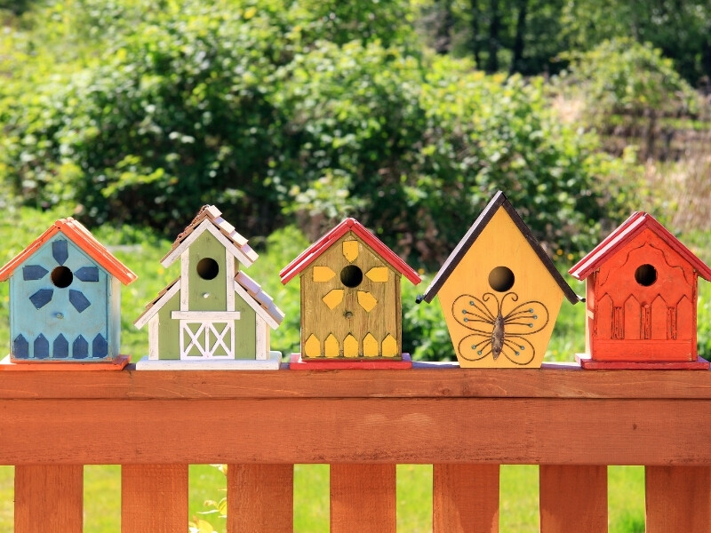 How to Build a Birdhouse