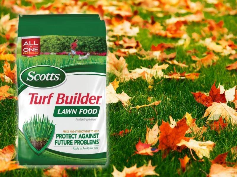 Brand Spotlight Scotts Turf Builder