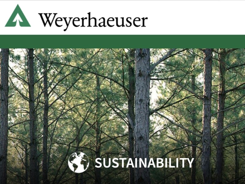 Building Responsibly Exploring Weyerhaeuser Lumber's Commitment to Sustainability