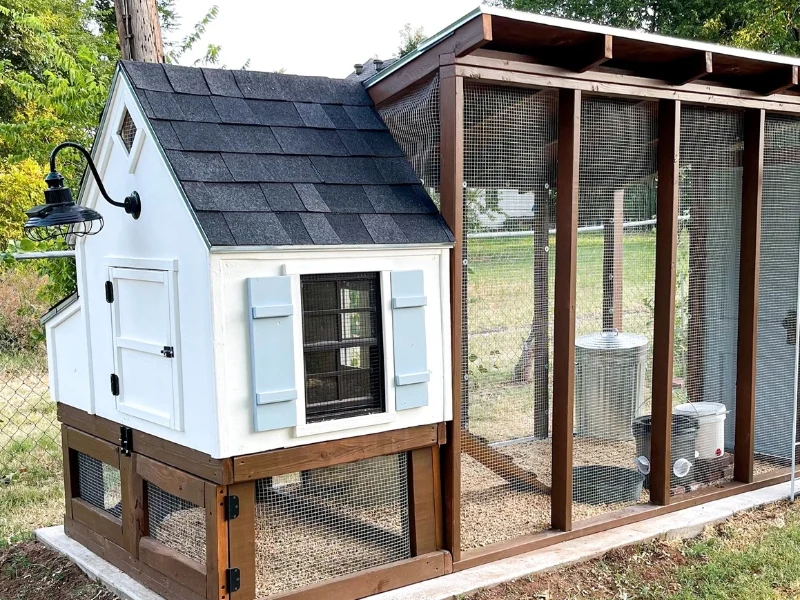So, You Want to Build a Chicken Coup